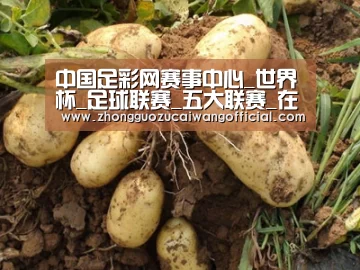 种植基地六