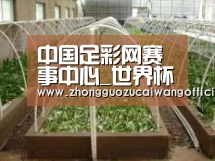 环境展示五