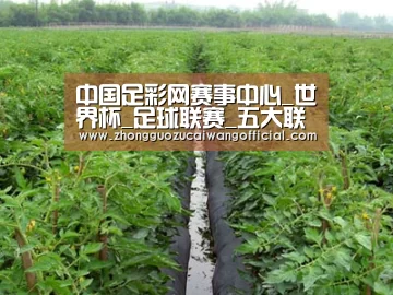 种植基地三