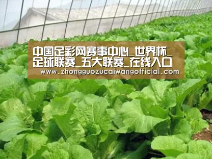 种植基地一