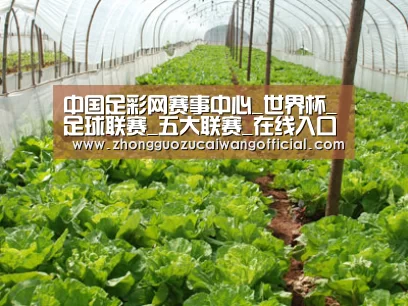 种植基地五
