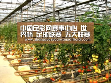 种植基地二