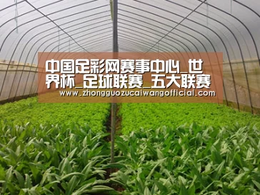 种植基地四