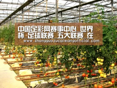 种植基地二(图1)