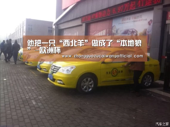他把一只“西北羊”做成了“本地狼”-欧洲杯(图4) 欧洲杯