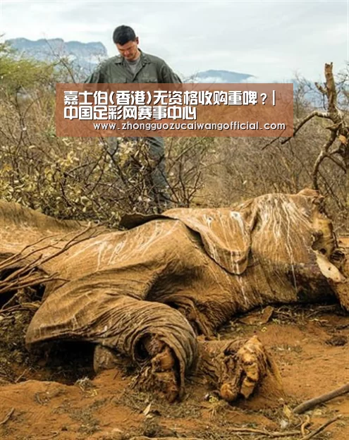 嘉士伯(香港)无资格收购重啤?|中国足彩网赛事中心(图3) 五大联赛