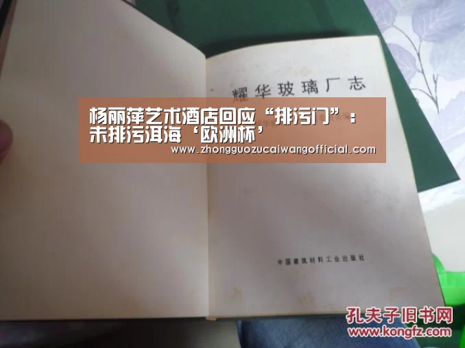 杨丽萍艺术酒店回应“排污门”:未排污洱海‘欧洲杯’(图4) 中国足彩网赛事中心