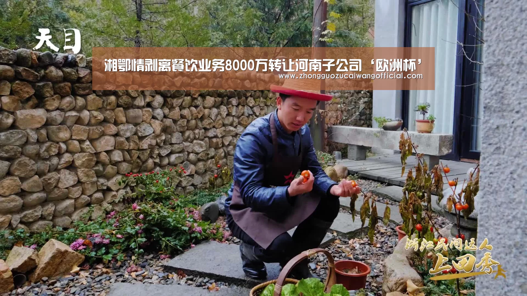 湘鄂情剥离餐饮业务8000万转让河南子公司‘欧洲杯’(图3) 中国足彩网赛事中心