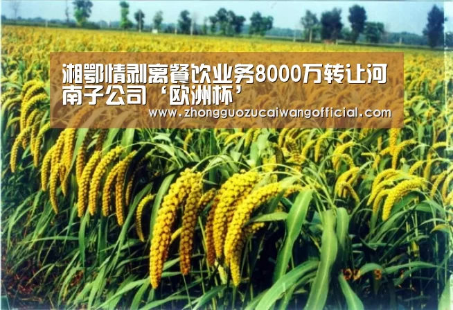 湘鄂情剥离餐饮业务8000万转让河南子公司‘欧洲杯’(图2) 中国足彩网赛事中心