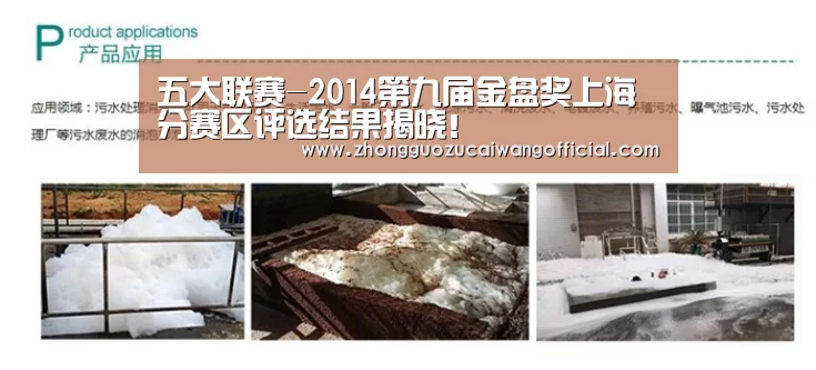 五大联赛-2014第九届金盘奖上海分赛区评选结果揭晓!(图1) 欧洲杯