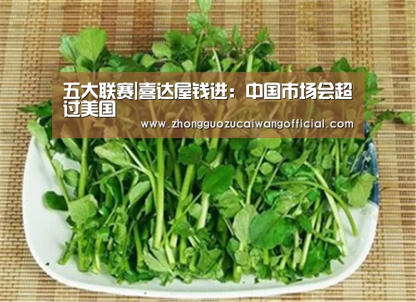 五大联赛|喜达屋钱进:中国市场会超过美国(图2) 中国足彩网赛事中心