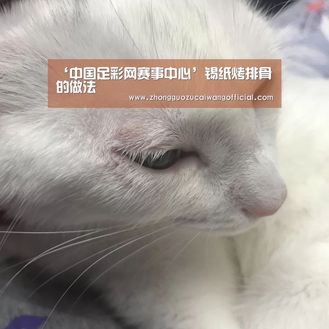‘中国足彩网赛事中心’锡纸烤排骨的做法(图2) 五大联赛