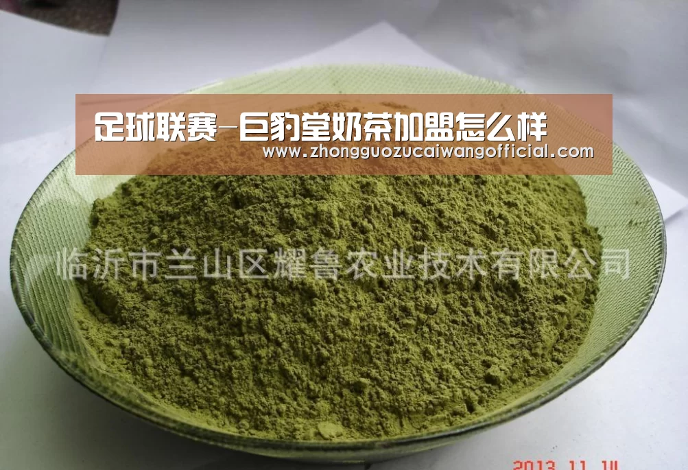 欧洲杯