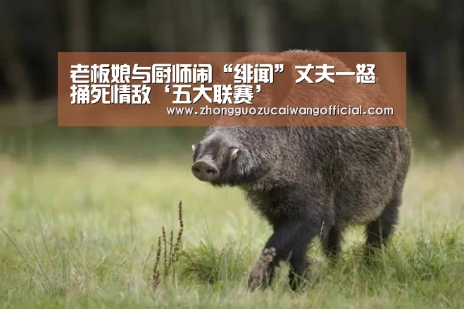 老板娘与厨师闹“绯闻”丈夫一怒捅死情敌‘五大联赛’(图2) 足球联赛