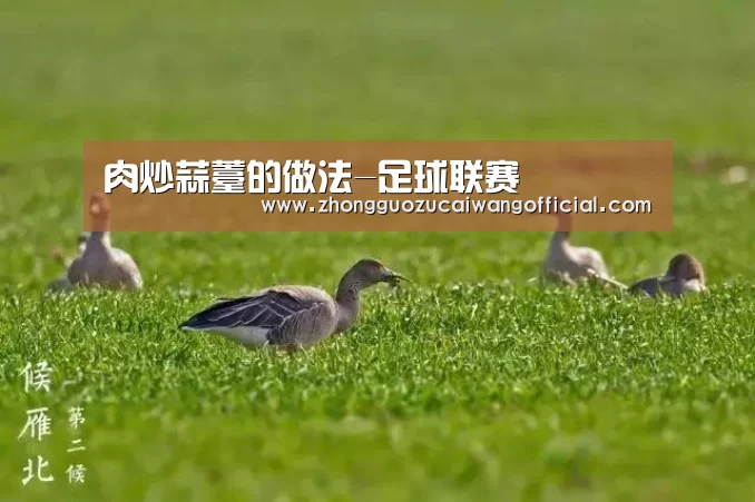 肉炒蒜薹的做法-足球联赛(图4) 五大联赛